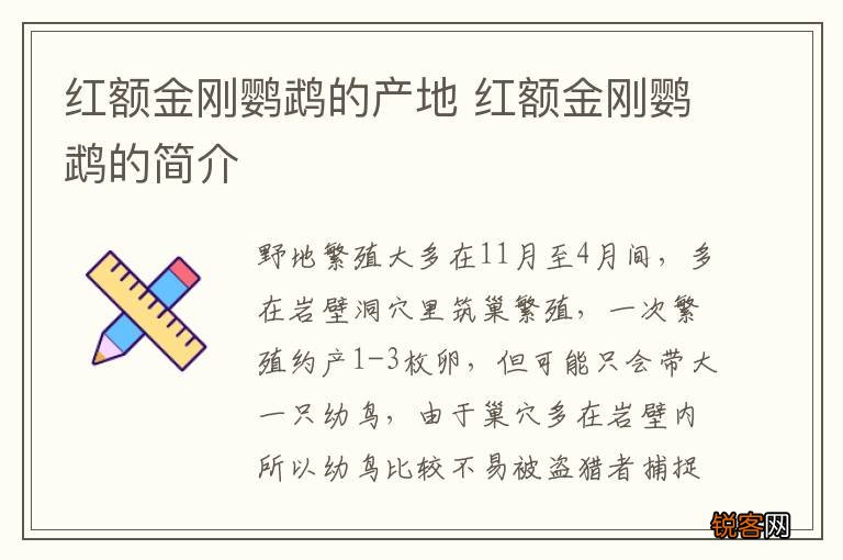 红额金刚鹦鹉的产地 红额金刚鹦鹉的简介