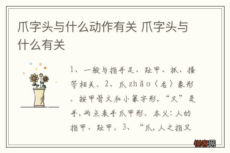 爪字头与什么动作有关 爪字头与什么有关