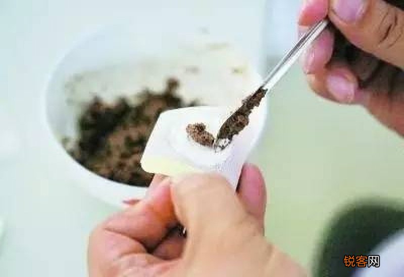 贴三伏贴没感觉正常吗