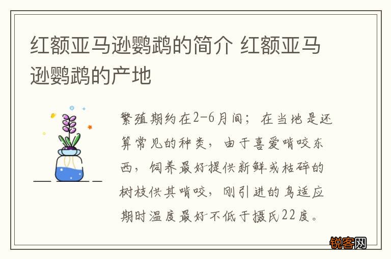 红额亚马逊鹦鹉的简介 红额亚马逊鹦鹉的产地