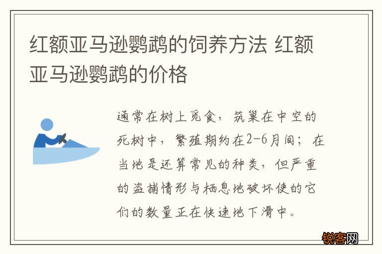 红额亚马逊鹦鹉的饲养方法 红额亚马逊鹦鹉的价格