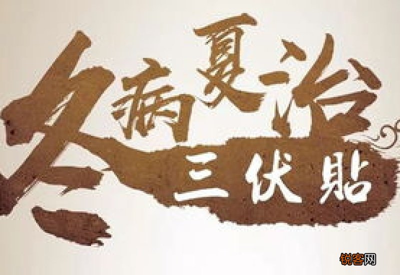 什么体质的人不适合贴三伏贴
