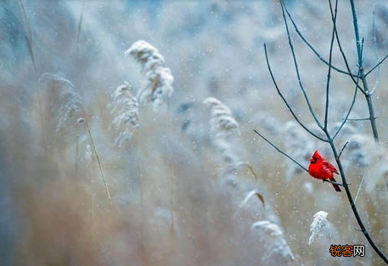 2021年惊蛰后天气还会冷么