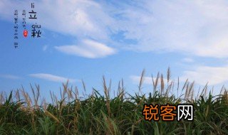 啃秋是什么意思 啃秋的意思