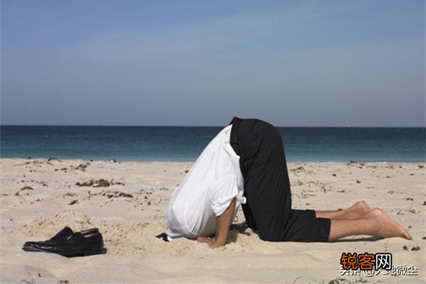 为什为什么！为什么比武输了喜欢找借口？这算什么品质？