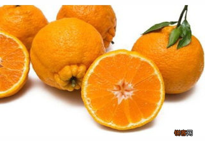 耙耙柑是越大越好吗