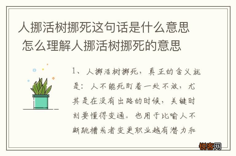 人挪活树挪死这句话是什么意思 怎么理解人挪活树挪死的意思