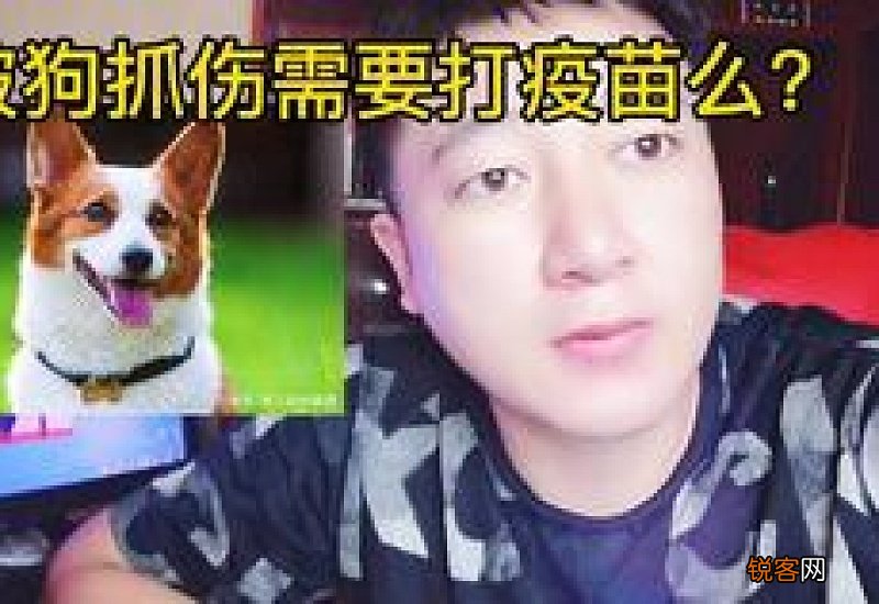 狗狗老是在地上蹭脸咋回事?