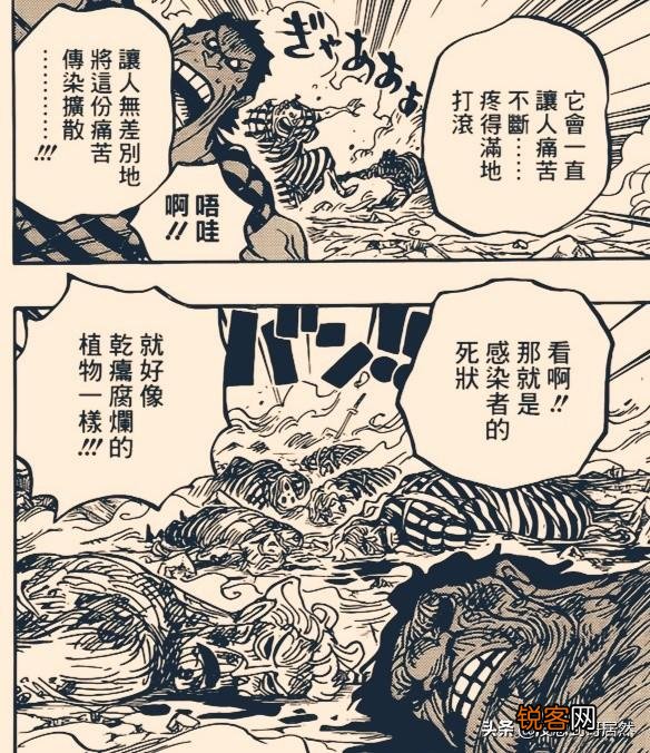 《海贼王》949话,为什么路飞触碰到被瘟疫弹感染的人却没事？