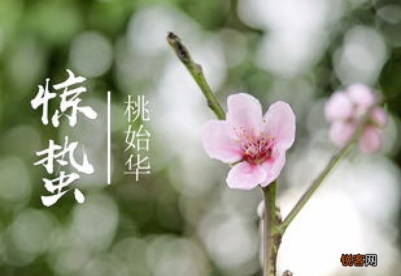 2021年惊蛰这一天能不能结婚