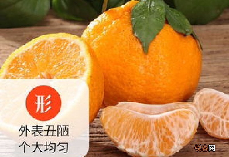 耙耙柑是丑八怪吗