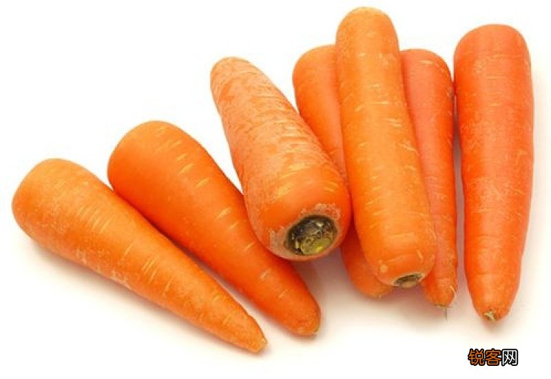 小狗一天可以吃多少胡萝卜020