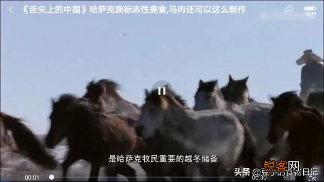 您好,请问马肉可以吃吗？味道怎么样？