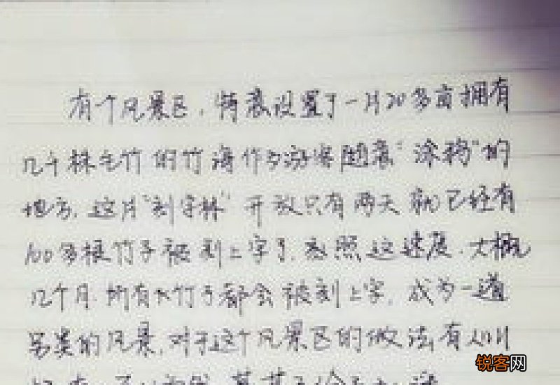 以等待为主题的作文800字议论文