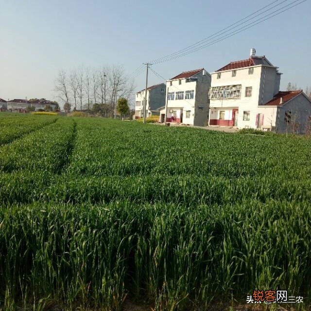 如何看待农村老话,“脸上无肉,做事寡毒”？