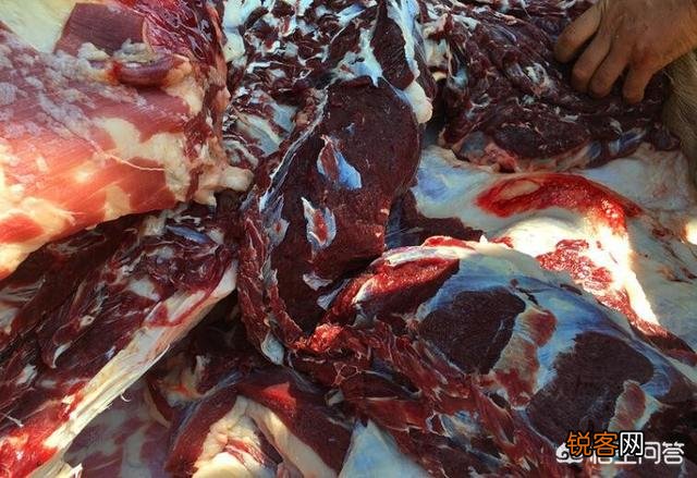 梅花鹿的肉味太难闻,怎么加工比较好吃？
