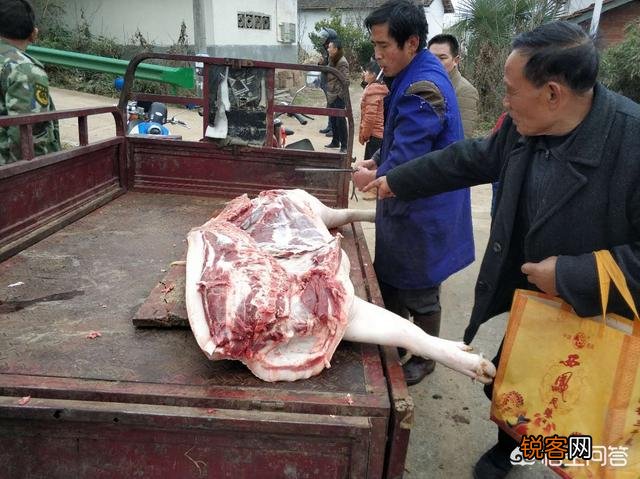 农村老人说,猪身上有一块肉叫做“槽头肉”,最好不要吃,这是为什么？