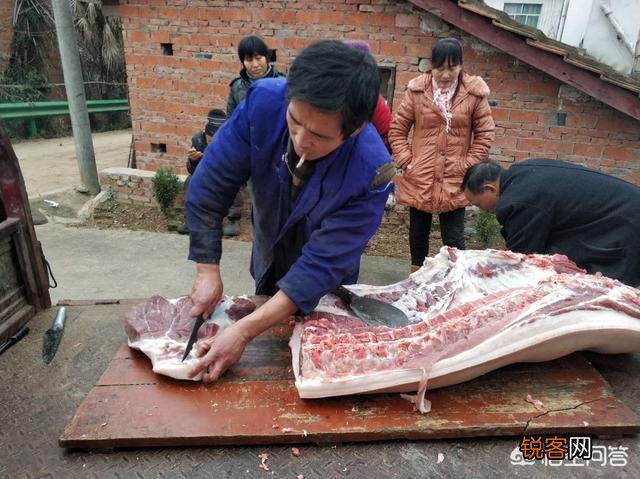 农村老人说,猪身上有一块肉叫做“槽头肉”,最好不要吃,这是为什么？
