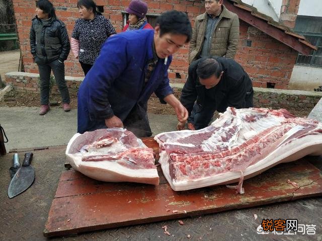 农村老人说,猪身上有一块肉叫做“槽头肉”,最好不要吃,这是为什么？