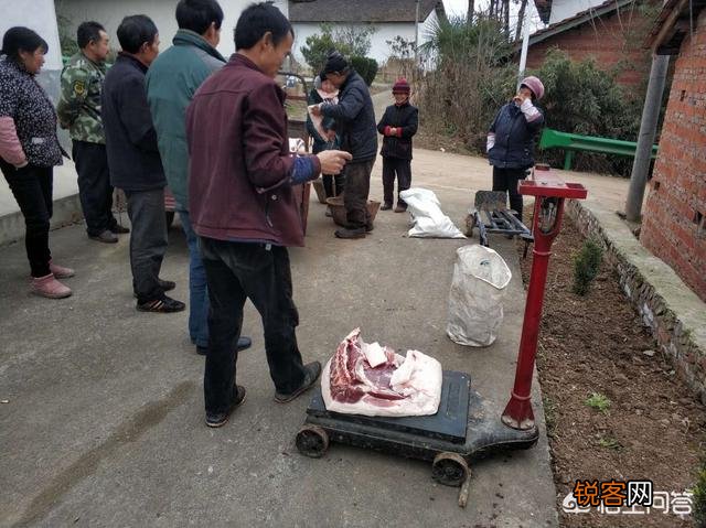 农村老人说,猪身上有一块肉叫做“槽头肉”,最好不要吃,这是为什么？