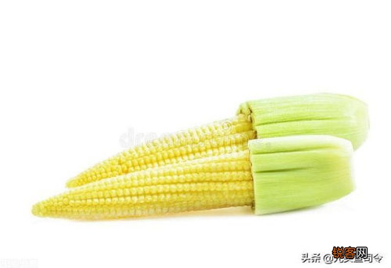 玉米可以钓翘嘴吗