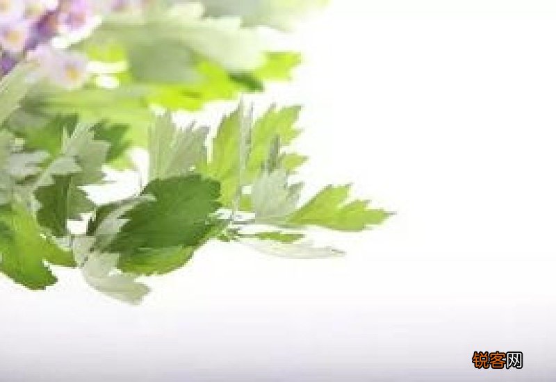 艾草洗澡是用新鲜的还是晒干的