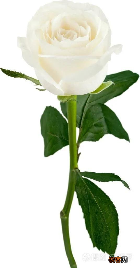 有人说“女人,千万不要去做别人的情人,”你怎么看？