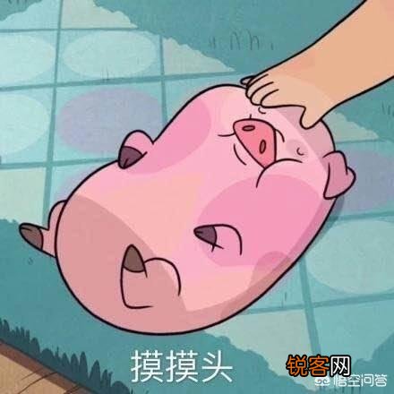 有没有特别皮的句子？