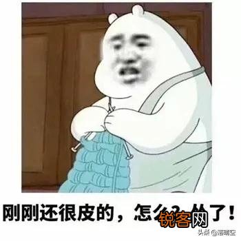 有没有特别皮的句子？