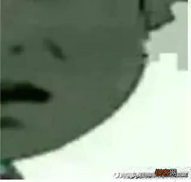 ？ω？  求吃鸡沙雕而又可爱的游戏idヽゝ？