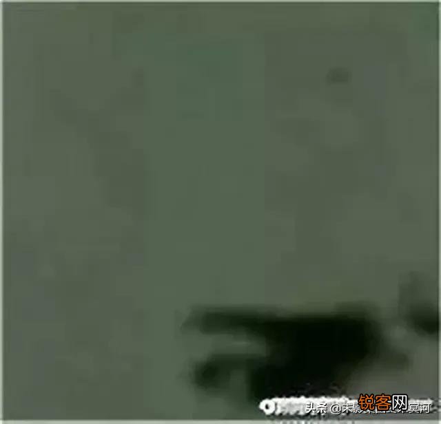 ？ω？  求吃鸡沙雕而又可爱的游戏idヽゝ？
