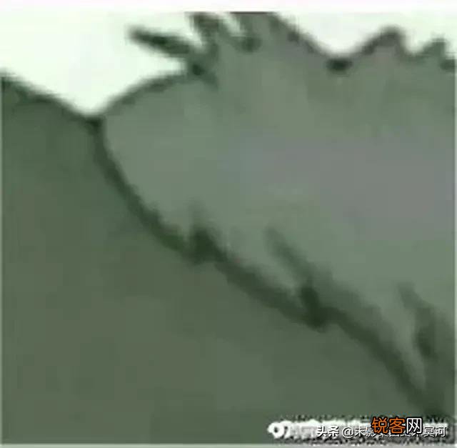 ？ω？  求吃鸡沙雕而又可爱的游戏idヽゝ？