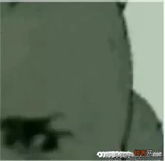 ？ω？  求吃鸡沙雕而又可爱的游戏idヽゝ？