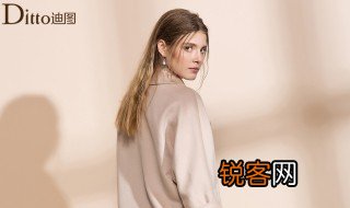 ditto是什么意思啊 ditto解释