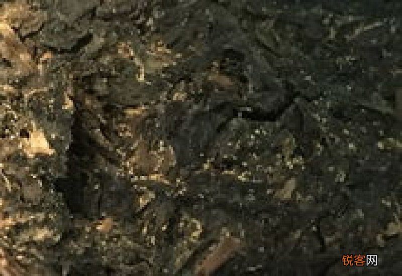 茶叶发霉是黄曲霉菌吗