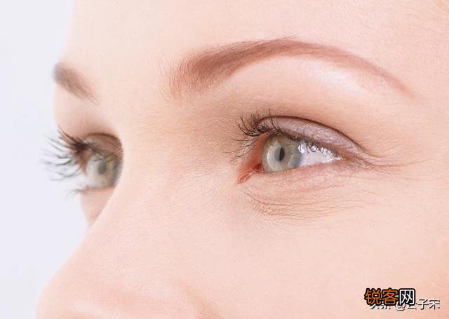 欧莱雅小黑瓶精华和兰芝精华哪个更适合抗初老用？