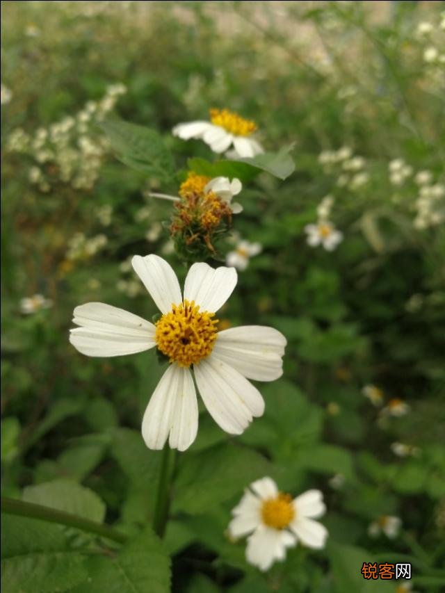 一个女人在爱情里受了伤,要怎么找回以前快乐的自己呢？