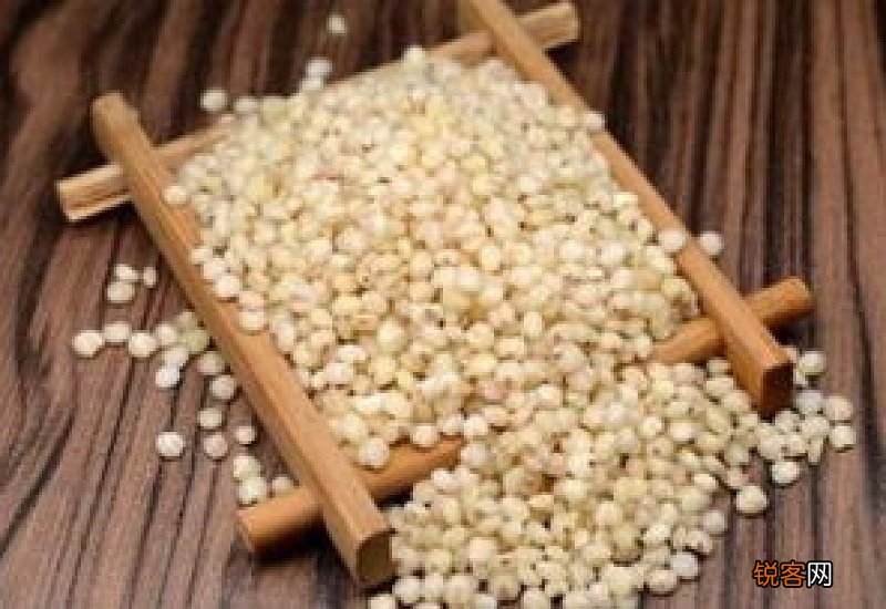 女性去湿气最快的食补方法