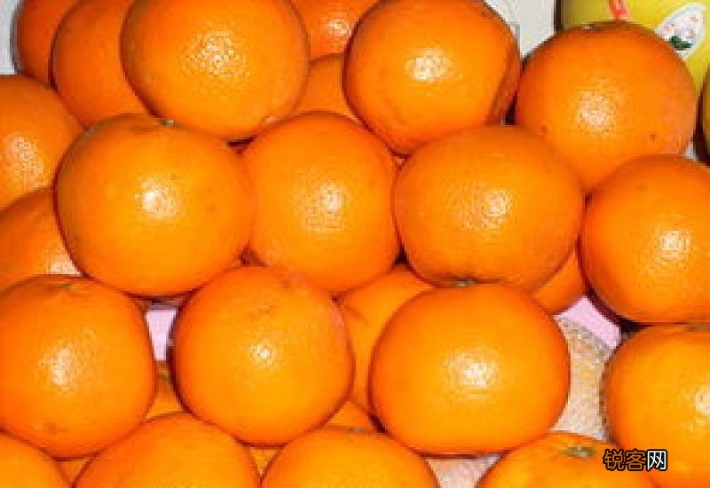 橘子的功效与作用是什么 吃橘子有什么作用