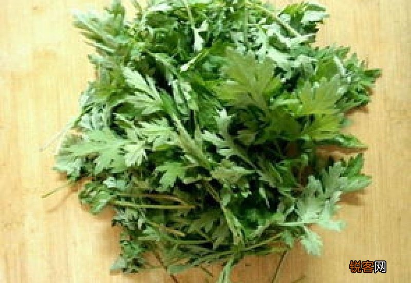 经常闻艾草有好处吗