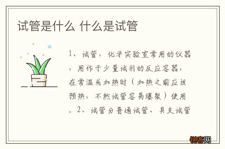 试管是什么 什么是试管