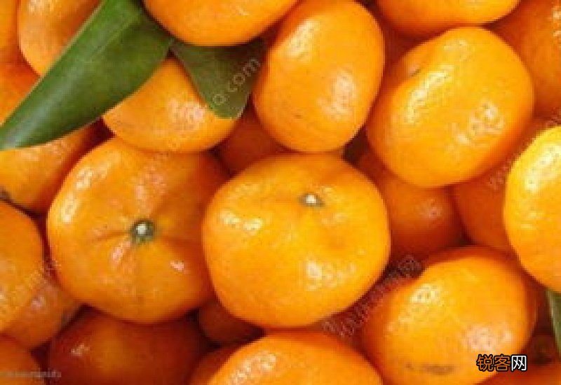橘子的热量是多少 橘子的热量高吗