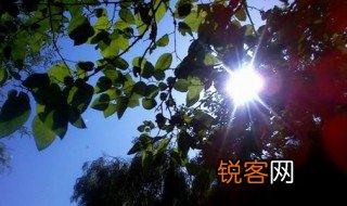 烈日当头的意思是什么 烈日当头的解释