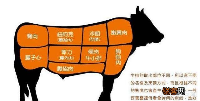 牛排通常是牛身上的哪部分肉？