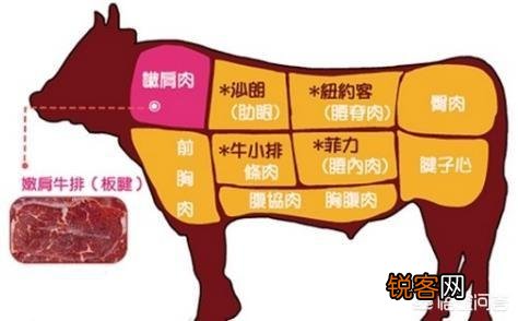牛排通常是牛身上的哪部分肉？