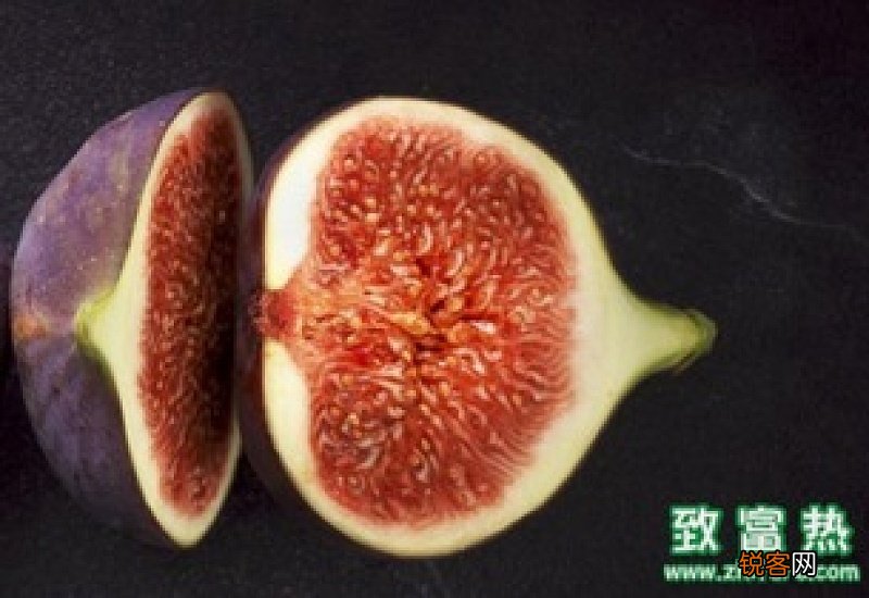 无花果叶子治疗痔疮的方法