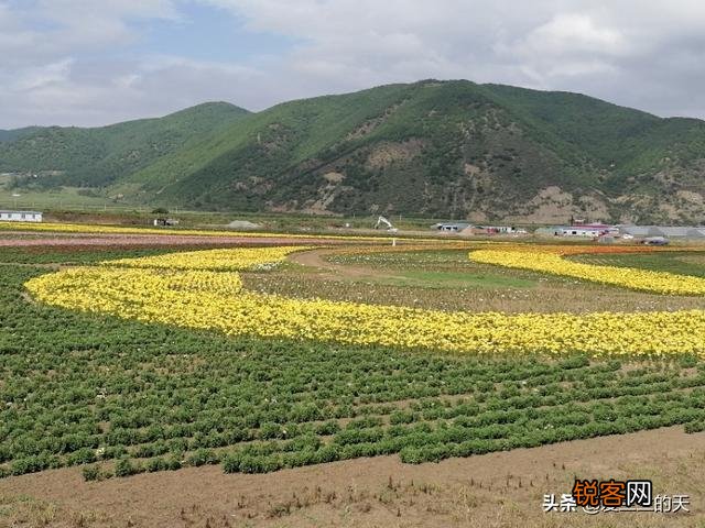 旅游不过山海关是真的吗？