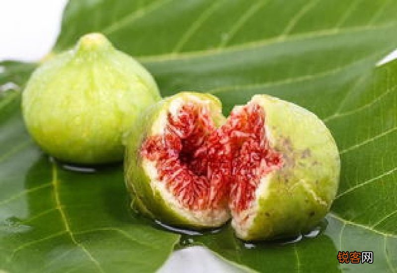 无花果有寄生虫是真的吗