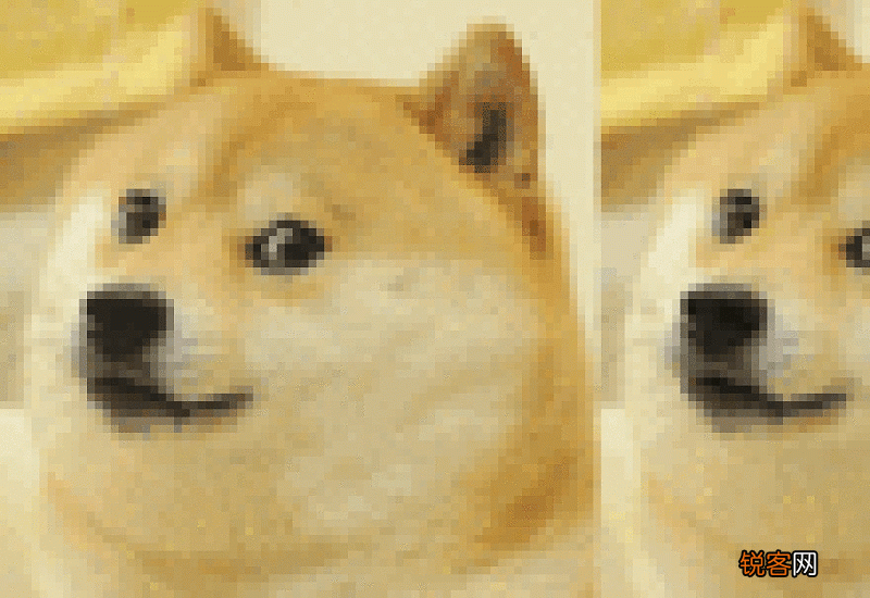 日本秋田犬和柴犬哪个聪明