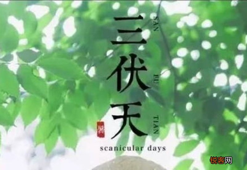 三伏天泡澡用什么药材